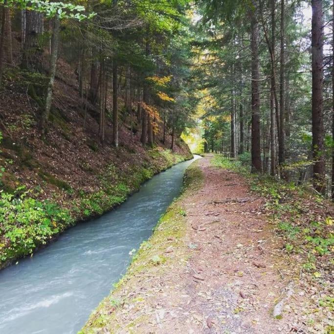 Chambre Ou Gite Dans Une Maison De Montagne - De Suzon A Zelie Entraigues  Exterior foto