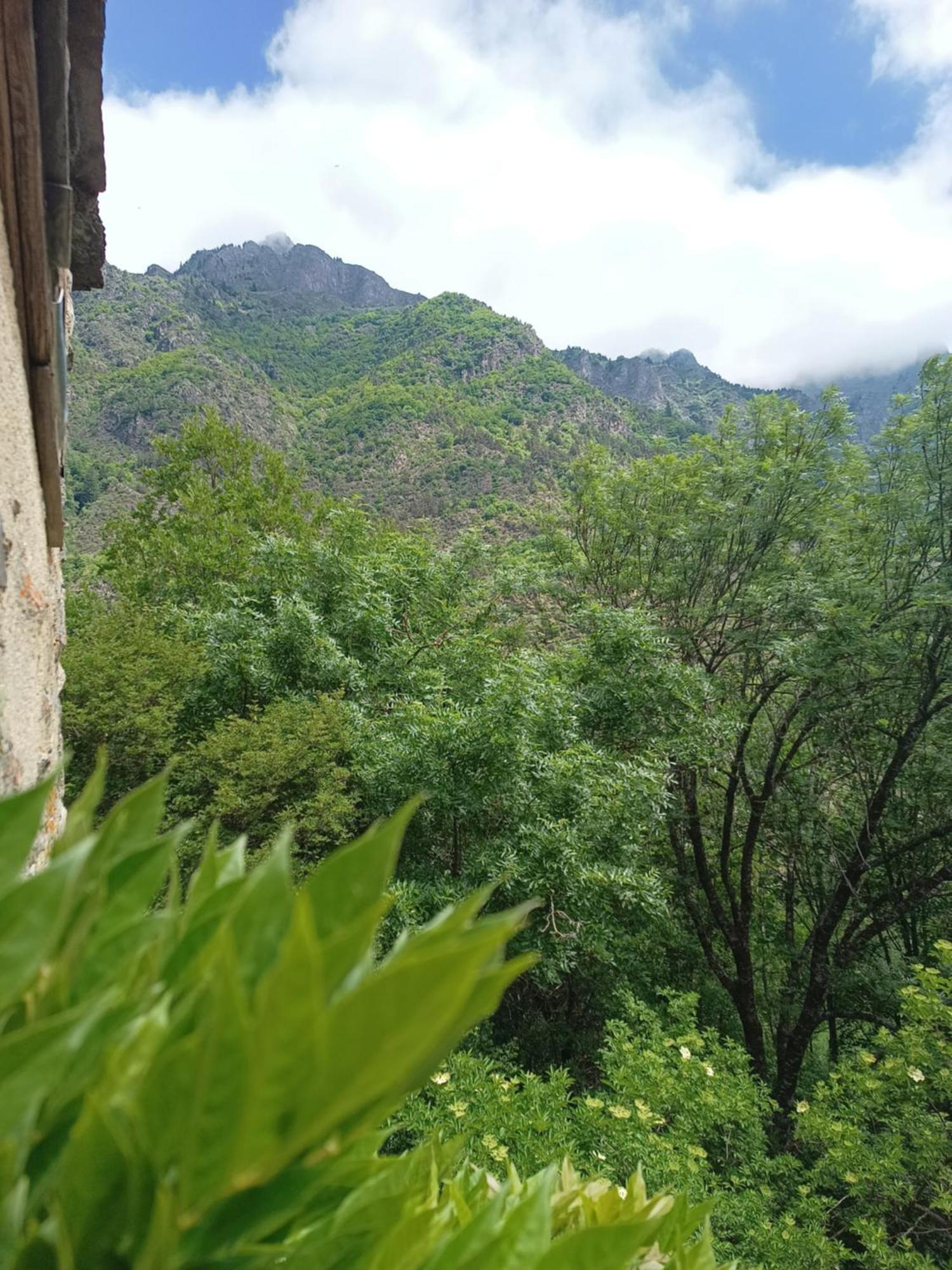 Chambre Ou Gite Dans Une Maison De Montagne - De Suzon A Zelie Entraigues  Habitación foto